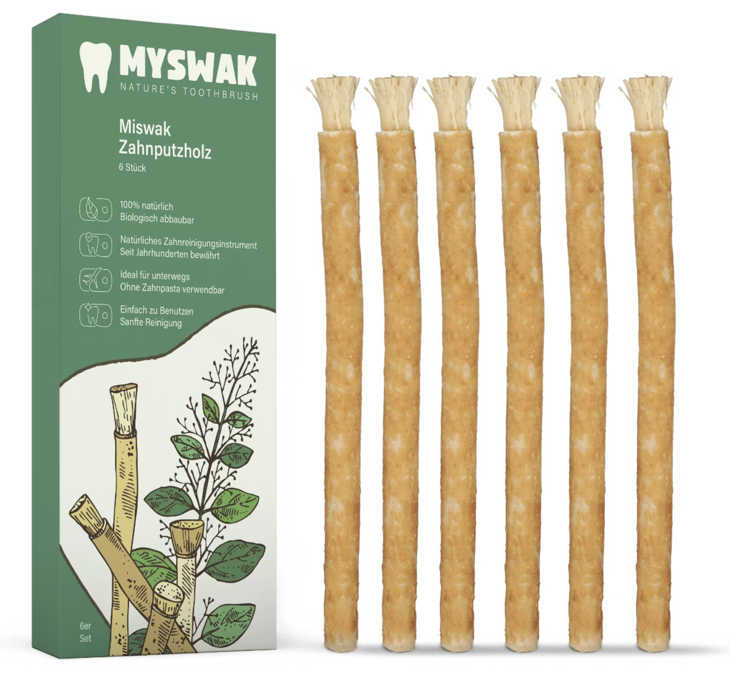 Miswak naturel