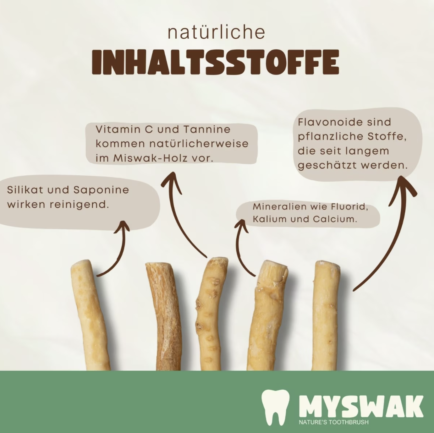 Miswak naturel