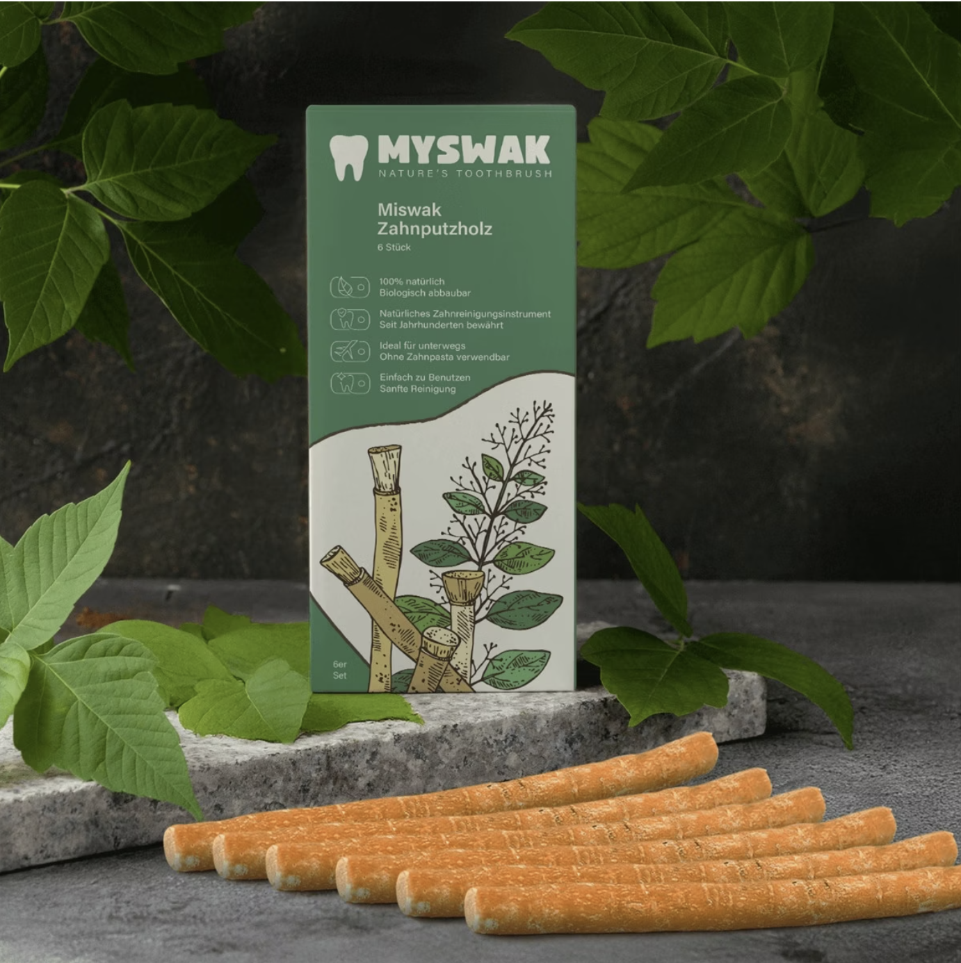 Miswak naturel