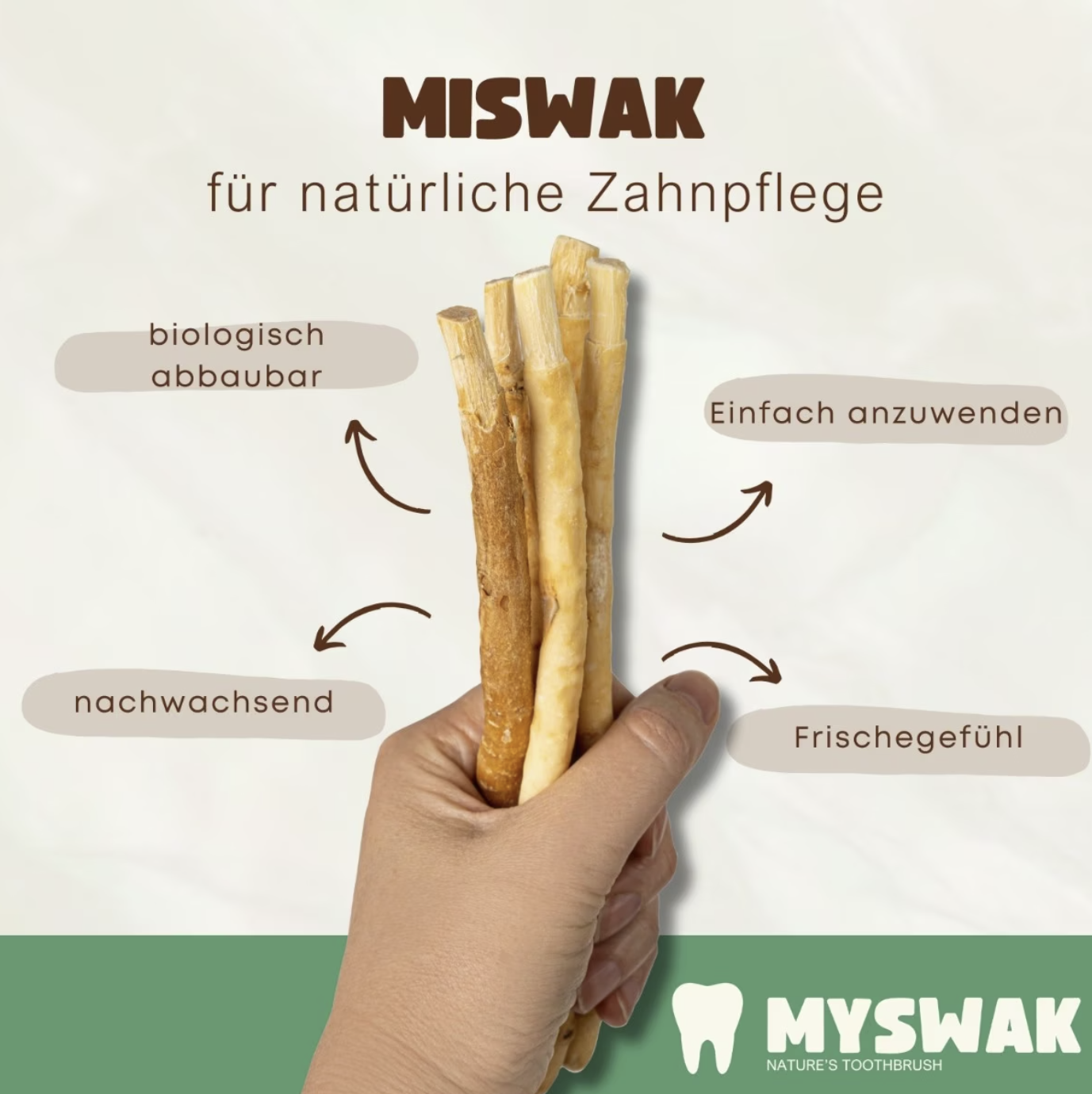 Miswak naturel